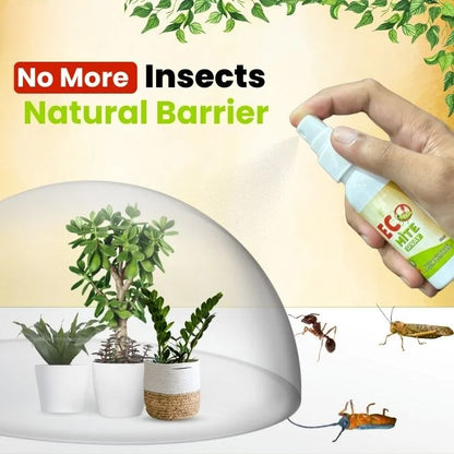 Mite Buster Spary Ultimate Ant Cockroach, Bed Bugs, Spider Killer