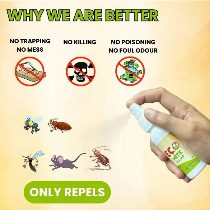 Mite Buster Spary Ultimate Ant Cockroach, Bed Bugs, Spider Killer
