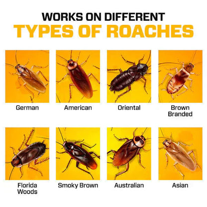 RoachShield Natural Gel – Safe & Powerful Cockroach Killer for Kitchens, Bathrooms & Cabinets | Buy 1 Get 1 Free