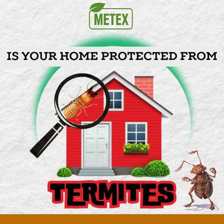 Termite Killer Spray (BUY 1 GET 2 FREE)